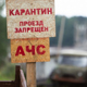 В Курской области объявили карантин из-за умершей от АЧС свиньи