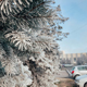 В Курской области обещают холодный февраль