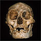 Человеческий череп возрастом 100 тысяч лет