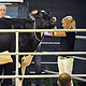 Самая дорогая в мире корова продана за 1,2 миллиона долларов