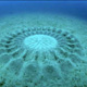 Ученые вычислили создателей «волшебных кругов» на дне моря