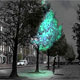 Города будущего будут освещать деревья-фонари