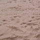 Заснеженный Саратов присыпало песком из Сахары