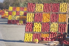 Вдоль обочины сложилась разноцветная мозаика из лотков с фруктами