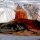 Раскрыт секрет «кровавого водопада» в Антарктиде