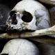 Современная криминалистика открыла тайну захоронения возрастом в 5000 лет