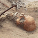 В Польше нашли погребение «женщины-вампира» с серпом на шее