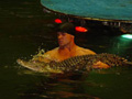 Цирк «На воде» в Курск привезет двухметрового крокодила