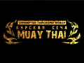 Турнир по тайскому боксу «Курская сеча Muay Thai»