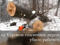 Новости Курска и области. Картина дня 21 февраля от «Друг для друга»