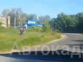 По Курску бегала косуля