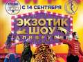 С 14 сентября в Курске начинаются гастроли легендарного шоу московского цирка «Аливрувер»