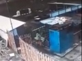 Медведь напал на женщину под Курском (видео)