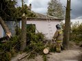Последствия урагана во Льгове Курской области