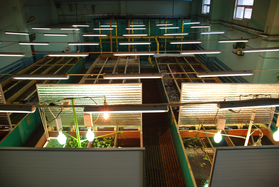 В цехе расположены несколько изолированных друг от друга бассейнов, каждый из которых имеет свое предназначение В цехе расположены несколько изолированных друг от друга бассейнов, каждый из которых имеет свое предназначение