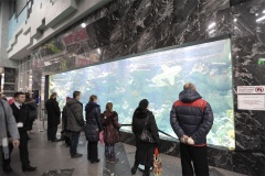 В огромном 100-тонном аквариуме прекрасно уживаются 30 видов рыб, включая четыре вида акул В огромном 100-тонном аквариуме прекрасно уживаются 30 видов рыб, включая четыре вида акул