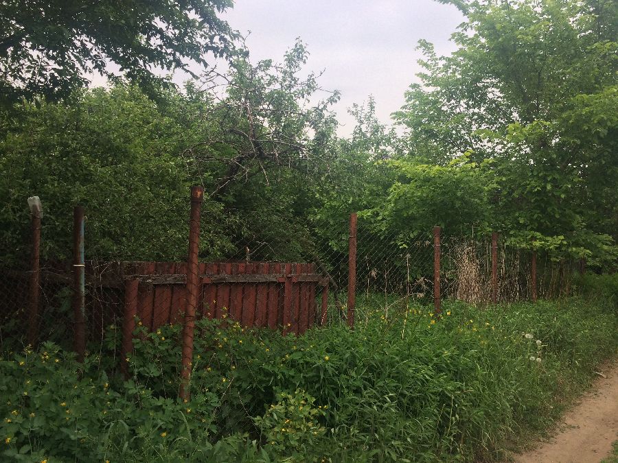 Расчистка дачи ДО Расчистка дачи ДО