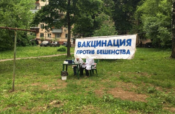 Бесплатная вакцинация от бешенства в курске