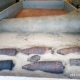 В Поныровском районе Курской области нашли 6 снарядов и гранату