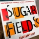 Альбом курского музыканта Леонида Винцкевича «Sugar fields» победил в премии «Все цвета джаза»