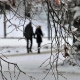 В Курской области 22 февраля ожидаются снег, дождь и до 7 градусов тепла