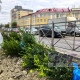 В Курске на площади Перекальского высаживают 600 кустов самшита вместо забора