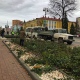 В Курске на клумбах убрали однолетники и срезают розы