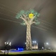 На проспекте Победы Курска засияла огнями 40-метровая яблоня