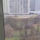 Курянку, выбросившую годовалую дочку с 11-го этажа, взяли под стражу в Москве