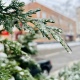Из-за ледяного дождя без электричества до сих пор остаются 3,5 тысячи жителей 9 районов Курской области