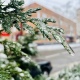 В Курской области 25 ноября ожидаются туман, снег с дождем и потепление до плюс 3 градусов