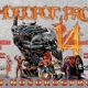 В Курске пройдет международный спортивный фестиваль «НОСОРОГ ПРО-14»