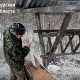 В Курской области действуют 198 кормушек для диких животных