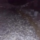 Куряне попали под уголовное дело за незаконный вылов 2014 уклеек