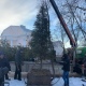 В Курске в Парке железнодорожников высадили редкие ели и сосны