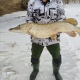 Житель Курской области в Свапе поймал 12-килограммовую щуку