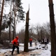 В Курской области прошла акция по заготовке дров для военных в зоне СВО