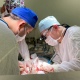 В Курской области хирурги онкоцентра провели уникальную 8-часовую операцию
