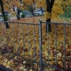 Какая погода на выходных 18-19 октября ожидается в Курской области