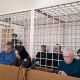 Фигуранты дела о фортификациях в Курской области не признают свою вину
