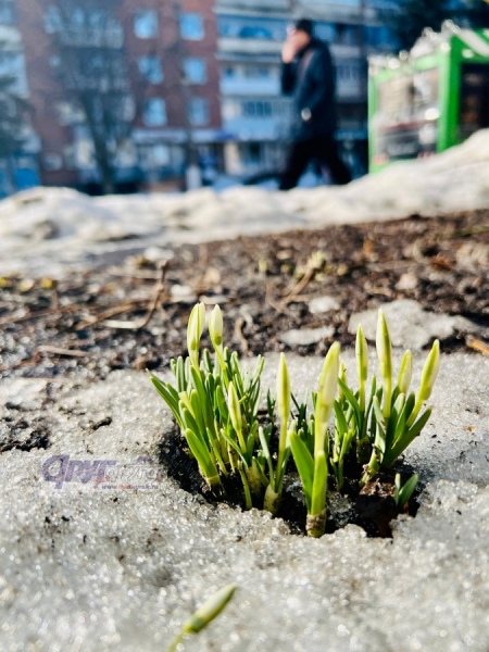 Синоптики рассказали, когда в Курскую область придет весна
