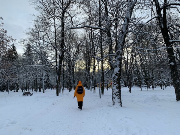 В Курской области 7 февраля ожидается снег и потепление