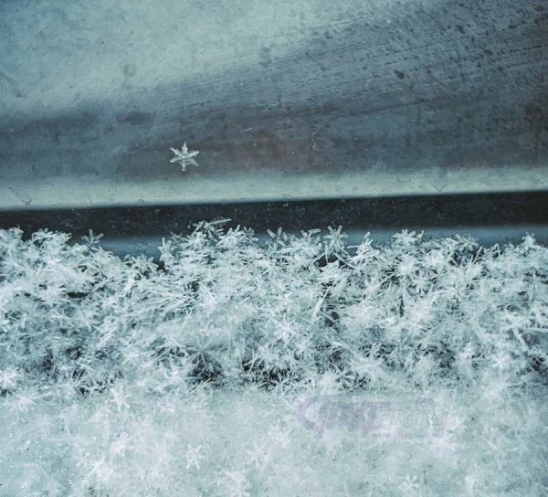 В Курской области 10 февраля ожидается до 22 градусов мороза