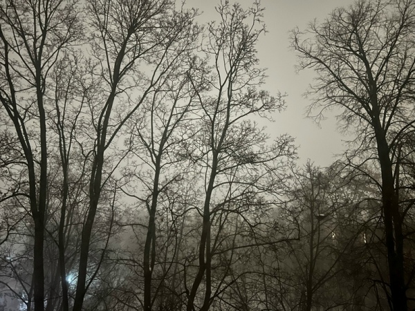 Взрыв прогремел над Курском, на город идет атака БПЛА