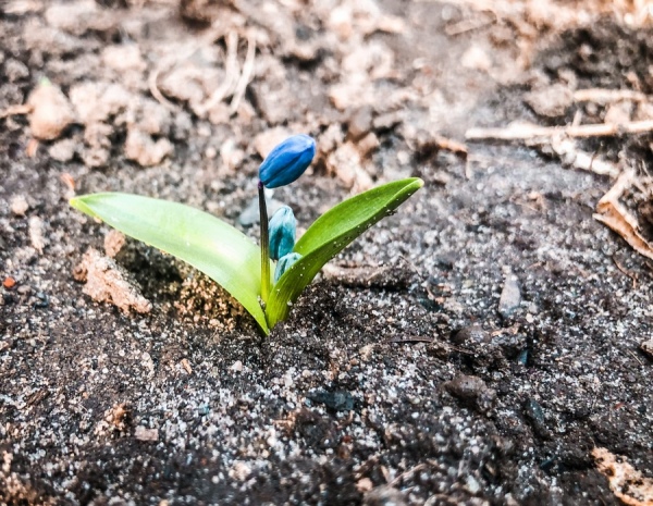 В Курской области после теплых выходных наступит похолодание