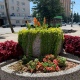 Часть городских клумб в Курске отдадут консорциуму озеленителей