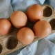 В Курской области подорожали яйца и овощи
