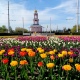 В Курске на Триумфальную арку вернут тюльпаны
