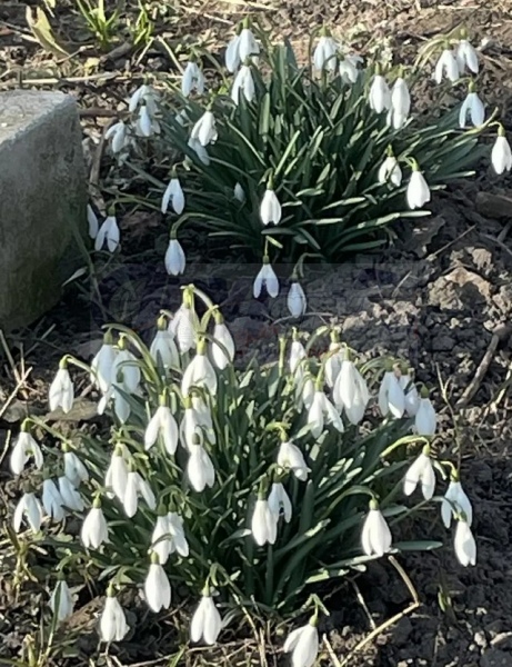 В Курской области 24 марта ожидается от 6 градусов мороза до 11 тепла