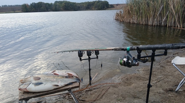 В Курской области ограничили ловлю рыбы